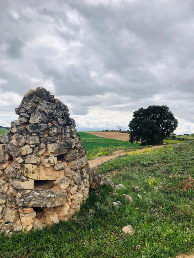Apartamentos Ribera Del Duero Las Escuelas Vadocondes Eksteriør billede